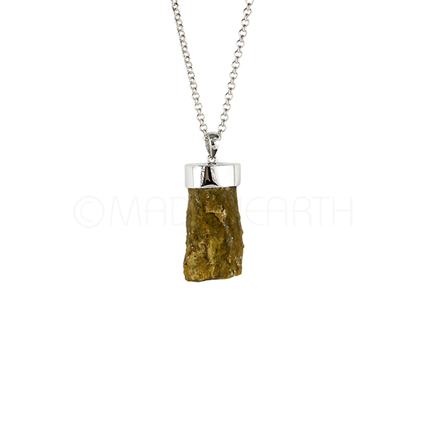 Rough Petrified Wood Pendant 